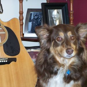 Meet your Posher, Robin